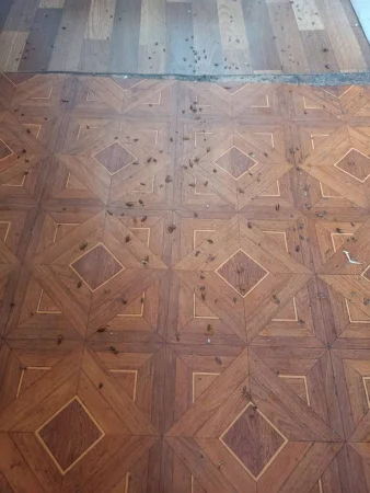 Дезинсекция клопы после обработки